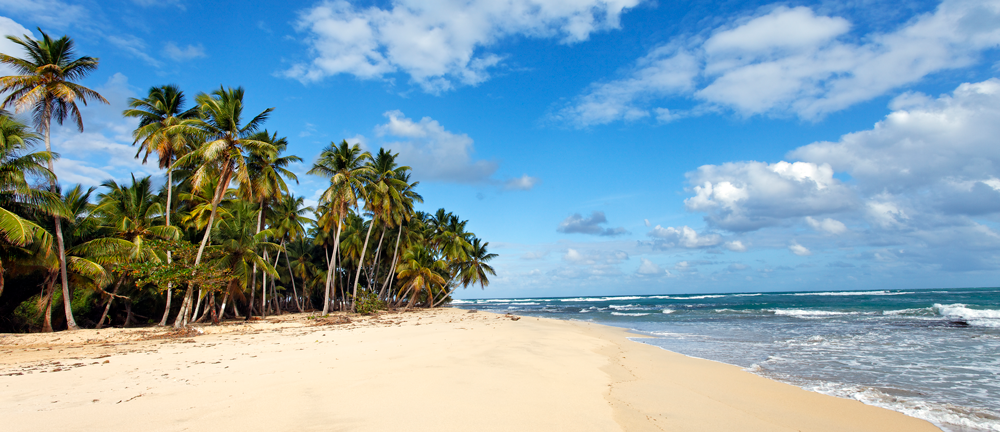 caribbean-beach-with-palm-trees-blue-sky-dominican-republic