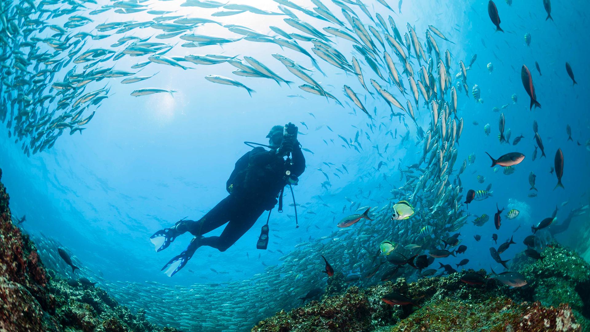 buceo-galapagos.jpg